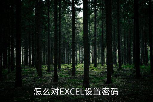 怎么對EXCEL設置密碼