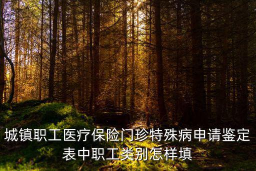 城鎮職工醫療保險門珍特殊病申請鑒定表中職工類別怎樣填