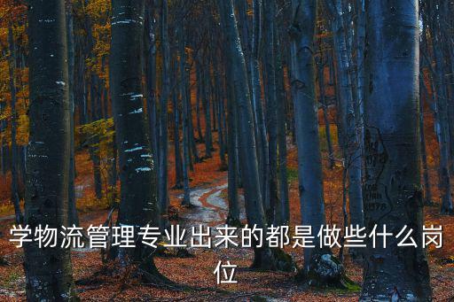 學物流管理專業出來的都是做些什么崗位
