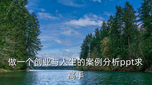 做一個創(chuàng)業(yè)與人生的案例分析ppt求高手