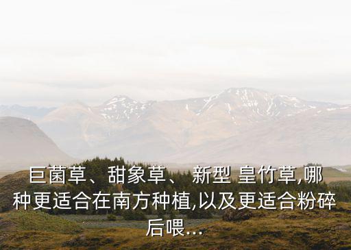 巨菌草、甜象草、 新型 皇竹草,哪種更適合在南方種植,以及更適合粉碎后喂...