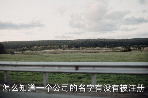 怎么知道一個公司的名字有沒有被注冊