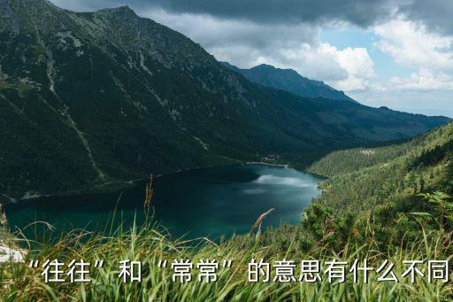 “往往”和“常常”的意思有什么不同
