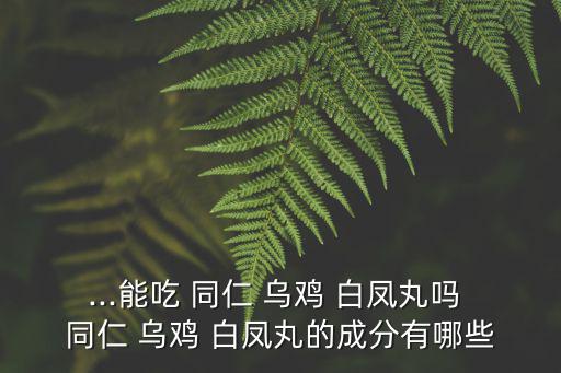 ...能吃 同仁 烏雞 白鳳丸嗎 同仁 烏雞 白鳳丸的成分有哪些