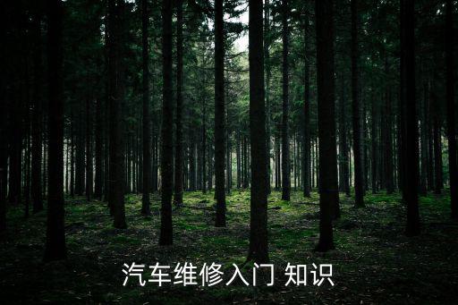 汽修基礎(chǔ)知識,汽車維修專業(yè)碩士學徒入門知識將涵蓋更廣范圍