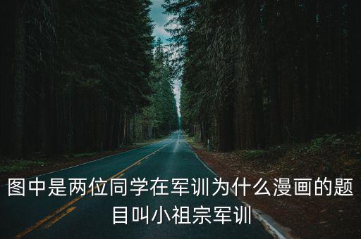 圖中是兩位同學在軍訓為什么漫畫的題目叫小祖宗軍訓
