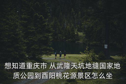 想知道重慶市 從武隆天坑地縫國家地質(zhì)公園到酉陽桃花源景區(qū)怎么坐