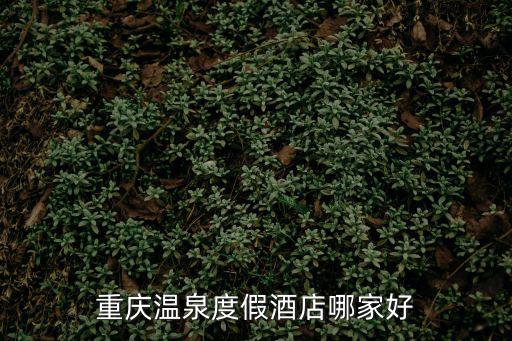 重慶溫泉度假酒店哪家好