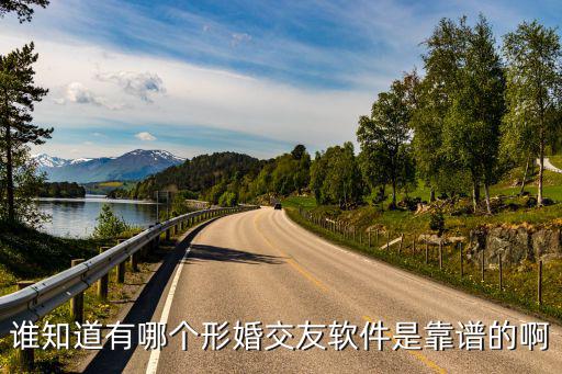 誰(shuí)知道有哪個(gè)形婚交友軟件是靠譜的啊