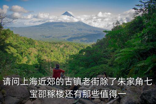 請(qǐng)問上海近郊的古鎮(zhèn)老街除了朱家角七寶邵稼樓還有那些值得一