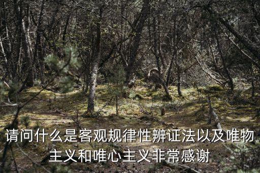 請(qǐng)問什么是客觀規(guī)律性辨證法以及唯物主義和唯心主義非常感謝