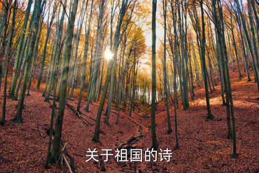 關(guān)于祖國的詩