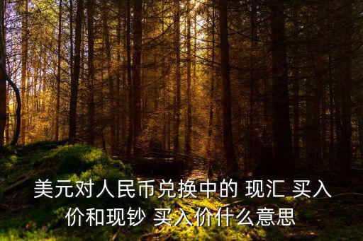  美元對(duì)人民幣兌換中的 現(xiàn)匯 買(mǎi)入價(jià)和現(xiàn)鈔 買(mǎi)入價(jià)什么意思