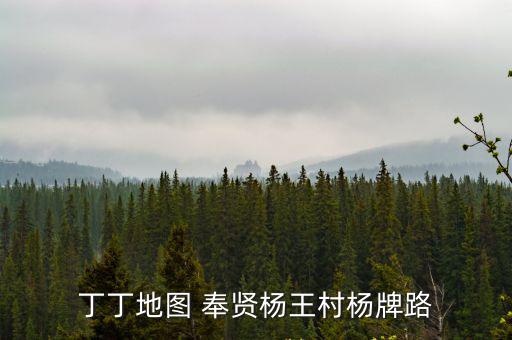 丁丁地圖 奉賢楊王村楊牌路