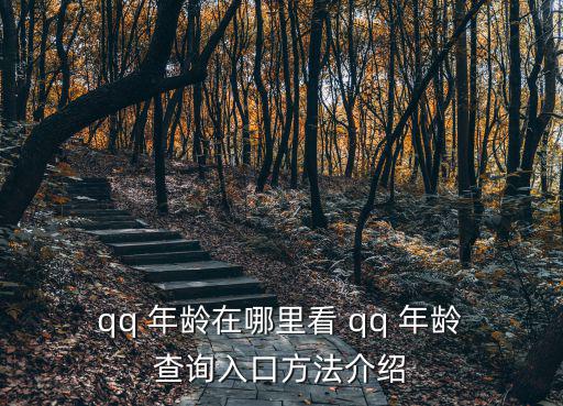 qq 年齡在哪里看 qq 年齡 查詢入口方法介紹