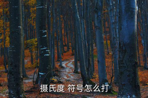  攝氏度 符號(hào)怎么打