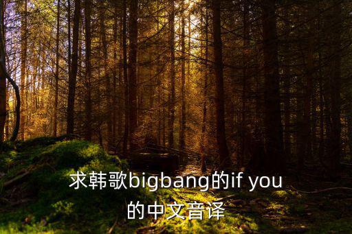 求韓歌bigbang的if you的中文音譯