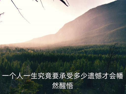 一個(gè)人一生究竟要承受多少遺憾才會(huì)幡然醒悟