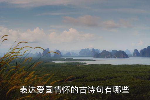 表達愛國情懷的古詩句有哪些