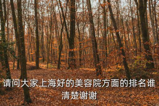 請問大家上海好的美容院方面的排名誰清楚謝謝