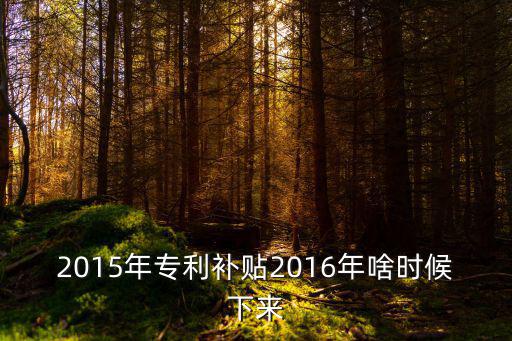2015年專利補貼2016年啥時候下來