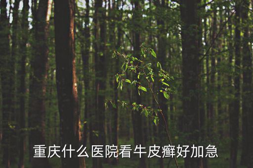 重慶什么醫(yī)院看牛皮癬好加急