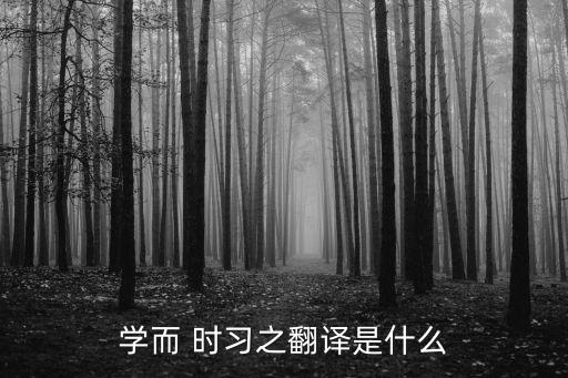 學(xué)而 時(shí)習(xí)之翻譯是什么