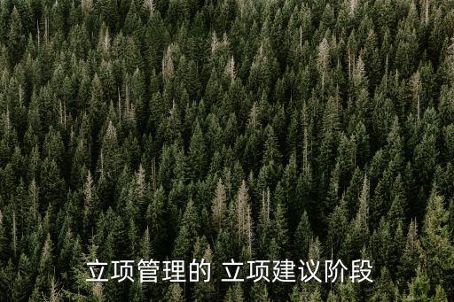 立項建議書,立項建議書寫得倉促對項目是有害的