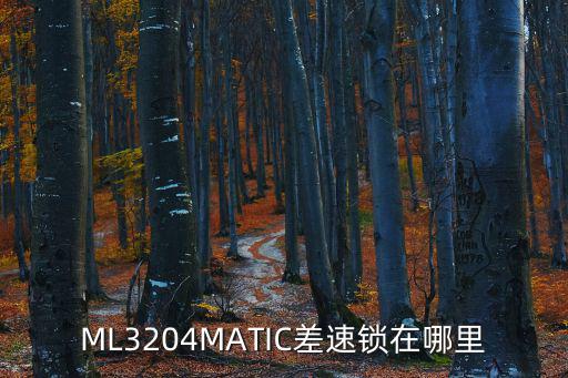 ML3204MATIC差速鎖在哪里