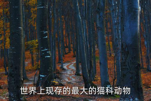 世界上現存的最大的貓科動物