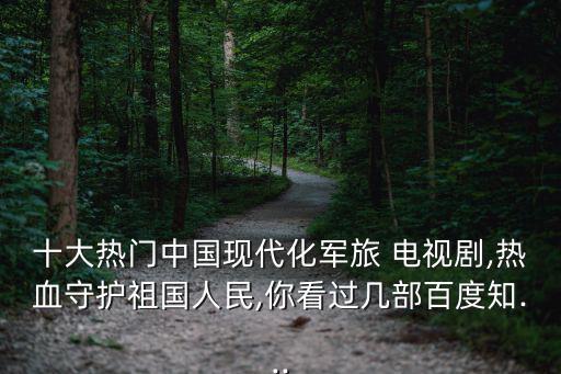現代電視劇,突擊突擊第二集:特種兵、戰士、闖關東殺島等