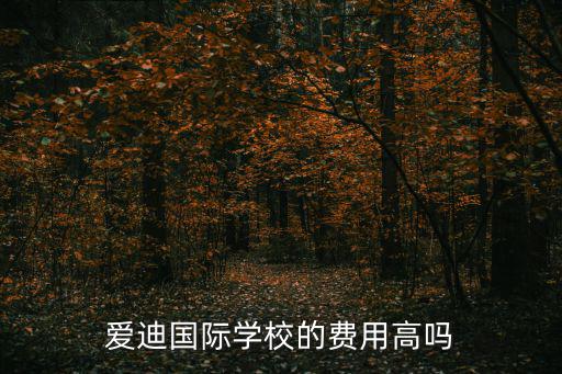 愛迪國際學(xué)校的費用高嗎