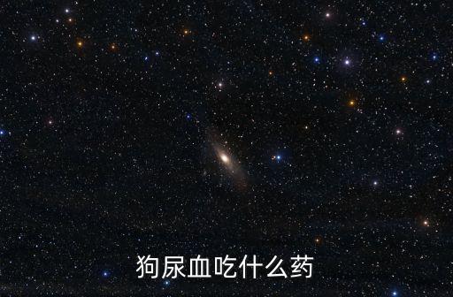 狗尿血吃什么藥