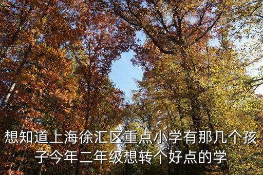 想知道上海徐匯區(qū)重點小學有那幾個孩子今年二年級想轉個好點的學