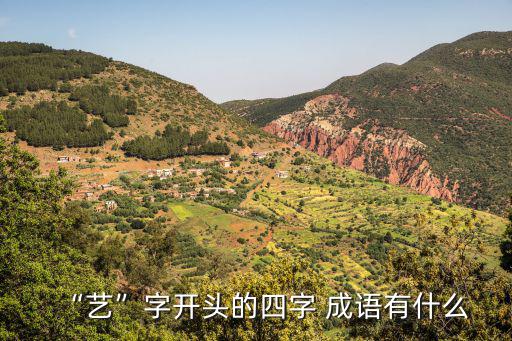 藝的成語,藝術(shù)大膽，藝術(shù)不壓倒用法:作定語和補語