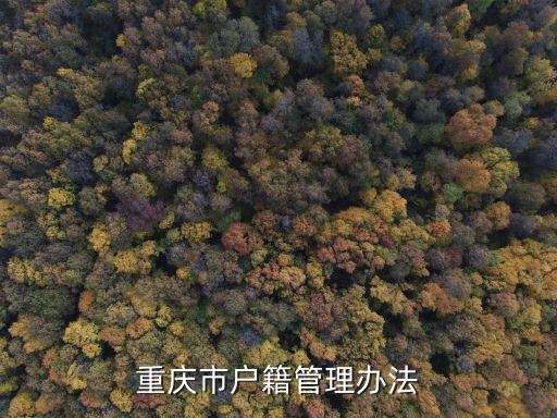 重慶市戶籍管理辦法