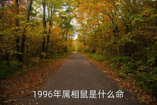 1996年屬相鼠是什么命