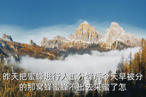人工分蜂，中蜂人工分蜂有子無王會急造王臺嗎
