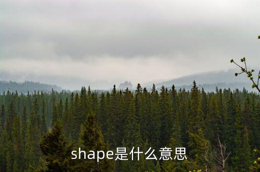 shape怎么讀，shape是什么意思