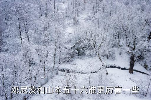 鄧尼茨和山本五十六誰更厲害一些