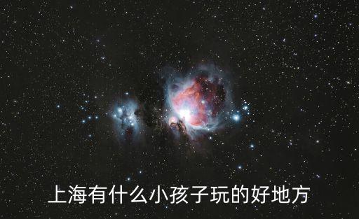 上海有什么小孩子玩的好地方