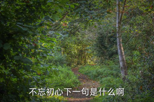 不忘初心下一句是什么啊