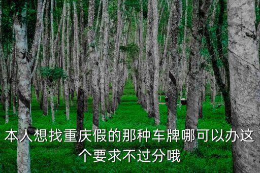 重慶市誰能搞到好車牌，本人想找重慶假的那種車牌哪可以辦這個要求不過分哦