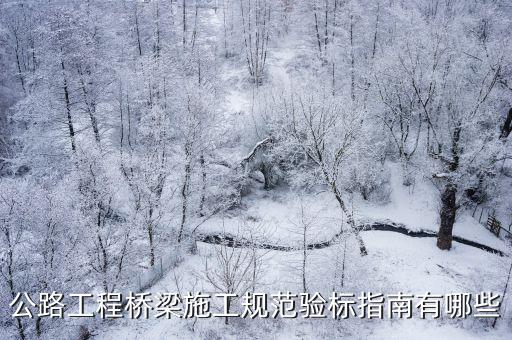 公路工程橋梁施工規范驗標指南有哪些