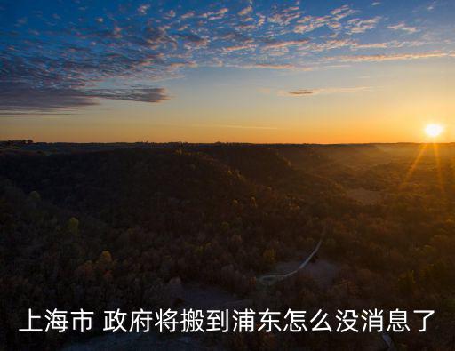 浦東新區(qū)政府,浦東新區(qū)政府不排除搬到港口
