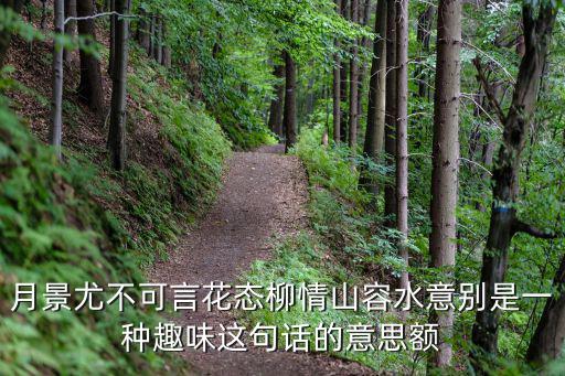 月景，月景尤不可言花態柳情山容水意別是一種趣味這句話的意思額