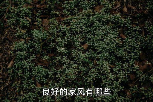 良好的家風有哪些