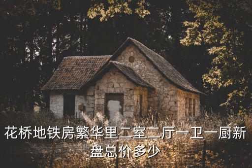 花橋地鐵房繁華里二室二廳一衛一廚新盤總價多少