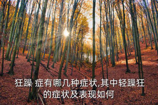 狂躁癥有哪些癥狀