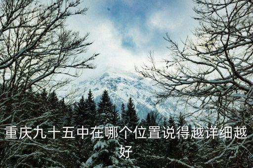 重慶市大渡口區(qū)95中校長，95中是不是被封殺了重慶大渡口的一所學(xué)校